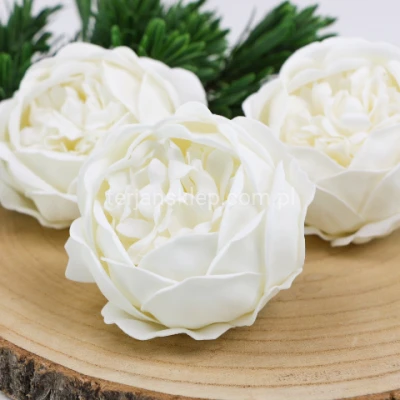Piwonia mydlana PACHNĄCA SK PIW1371 white