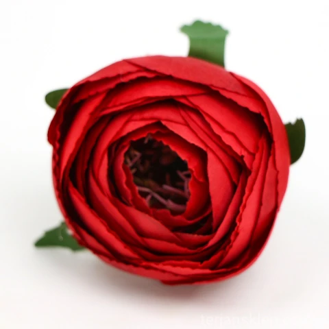 terjan (203).JPG