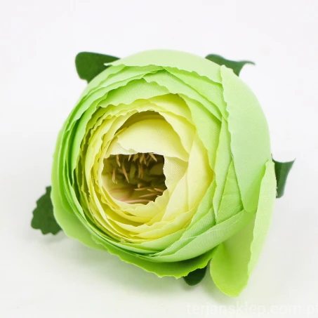 terjan (213).JPG
