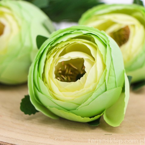 terjan (210).JPG