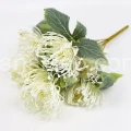 terjan (223).JPG