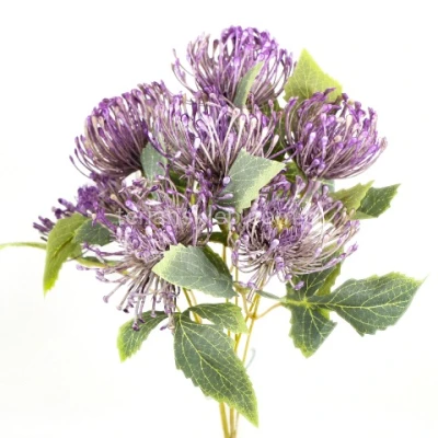 Bukiet ostów LY068 violet