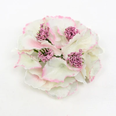 Hortensja L036 lt cream pink #J24 109