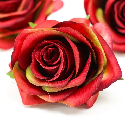 Terjan_1581 (12).JPG