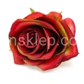 Terjan_1581 (14).JPG