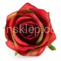 Terjan_1581 (15).JPG