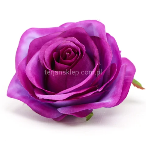 Terjan_1581 (20).JPG