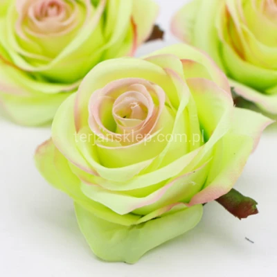 Róża wyrobowa SUN385 (12 szt) lt green edge lt pink #2311