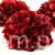 Terjan_1581 (27).JPG