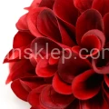 Terjan_1581 (28).JPG