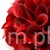 Terjan_1581 (28).JPG