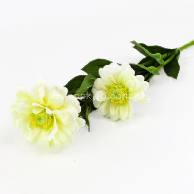Cynia gał. "3" SUN127 cream green / #10
