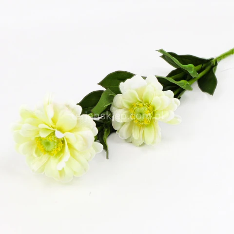 Terjan_1581 (108).JPG