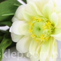 Terjan_1581 (109).JPG