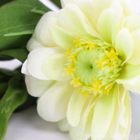 Terjan_1581 (109).JPG