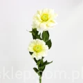 Terjan_1581 (110).JPG