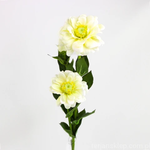 Terjan_1581 (110).JPG