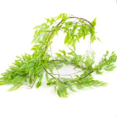 Ruskus girlanda BL052 green