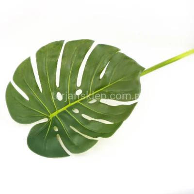 Monstera liść (1 szt) CV38597