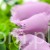 terjan_1824 (22).JPG