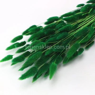 Dmuszek jajowaty LAGURUS (pęczek 50g) green #971
