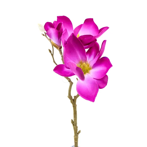 TERJAN_1948 (33).JPG