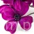 TERJAN_1948 (46).JPG