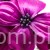 TERJAN_1948 (47).JPG