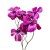 TERJAN_1948 (48).JPG