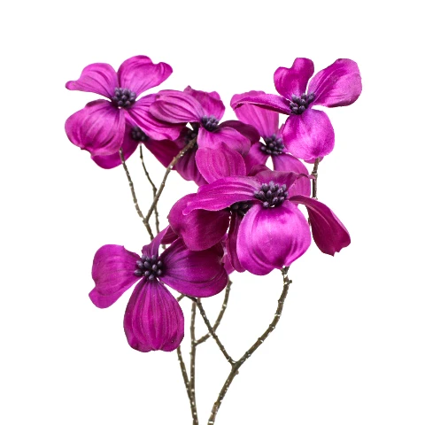 TERJAN_1948 (48).JPG