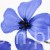 TERJAN_1948 (50).JPG