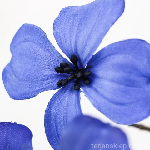 TERJAN_1948 (50).JPG