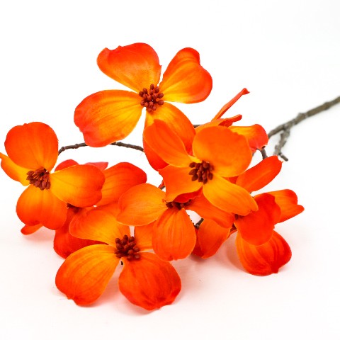 TERJAN_1948 (54).JPG
