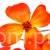 TERJAN_1948 (55).JPG