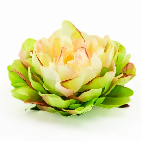 Terjan_2058 (17).JPG