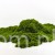 Terjan_2058 (47).JPG