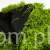 Terjan_2058 (50).JPG