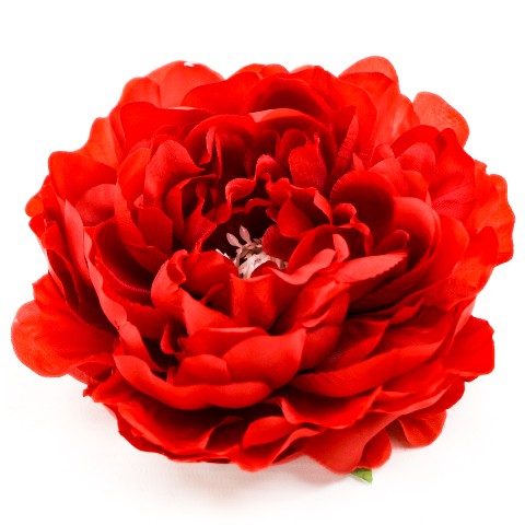 Terjan_2058 (26).JPG