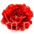 Terjan_2058 (26).JPG