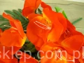 IMG_5825.jpg