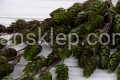 IMG_2835.JPG