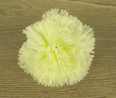 Goździk W-099 / K317 / K087 czysty krem (24szt)