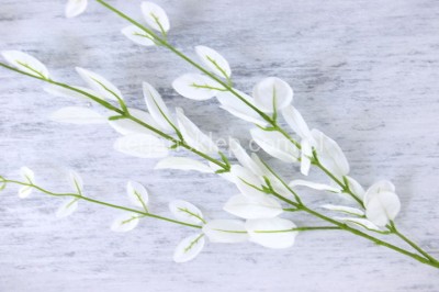 Gałąź potrójna Lanceria CB456 / CB415 / CS229  CREAM