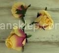 IMG_8291.jpg
