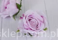 00004675.JPG