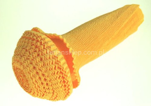 image3344.jpg