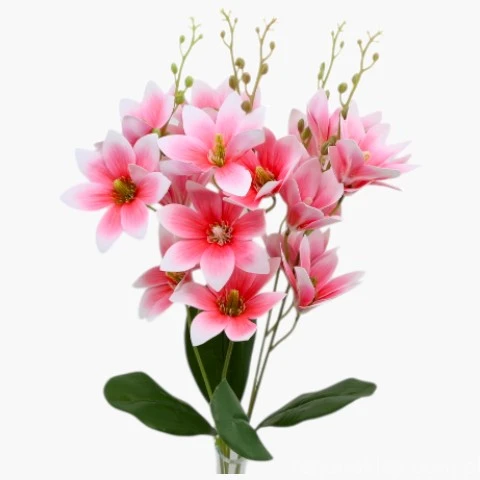 Terjan 2203  (101).jpg