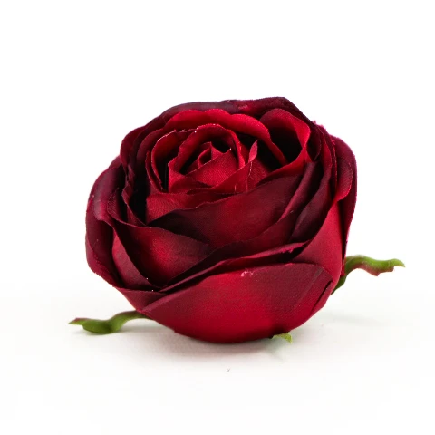 TERJAN_2476 (20).JPG