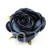 TERJAN_2476 (27).JPG