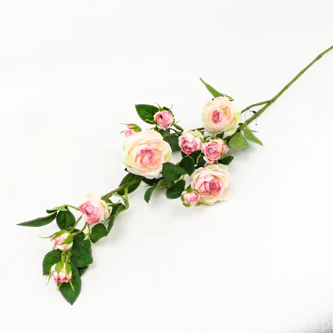 TERJAN_2476 (50).JPG
